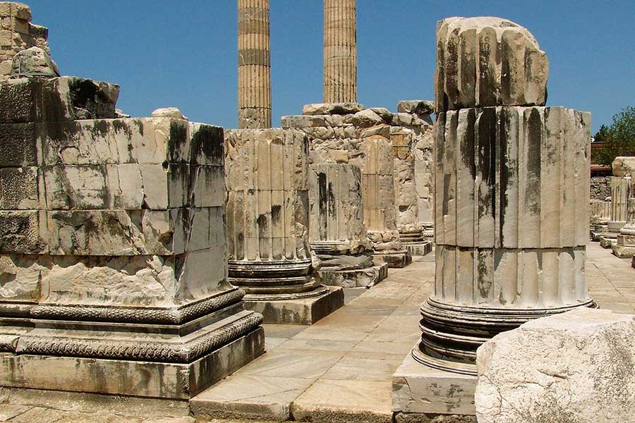 Priene Miletus and Didyma Private Tour