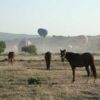 Cappadocia Horse Tour from Kusadasi