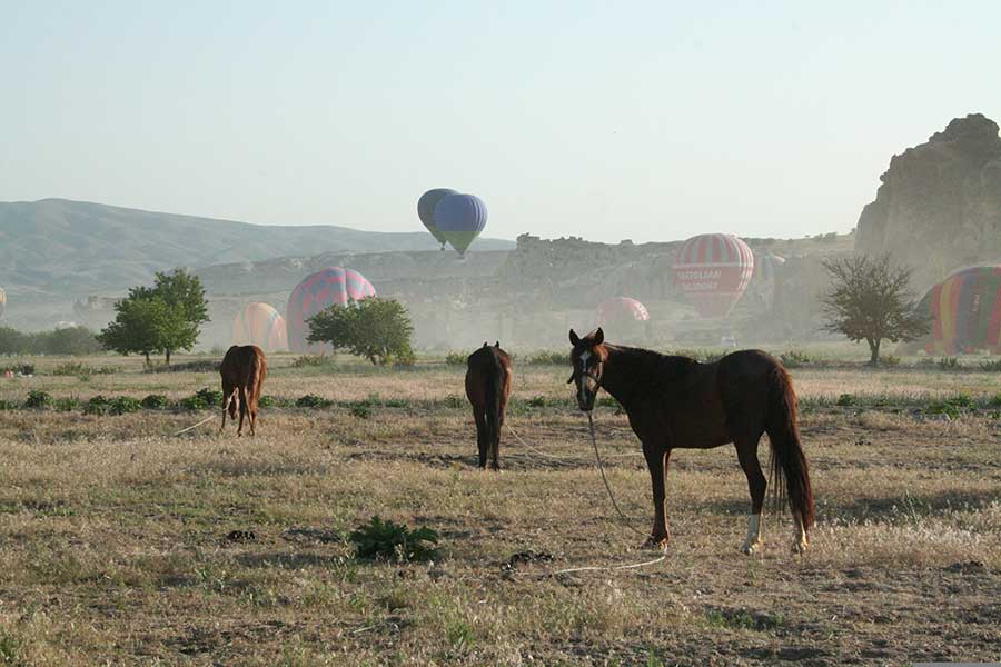 Cappadocia Horse Tour from Kusadasi