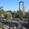 Priene Miletus and Didyma Private Tour