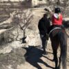 Cappadocia Horse Tour from Kusadasi